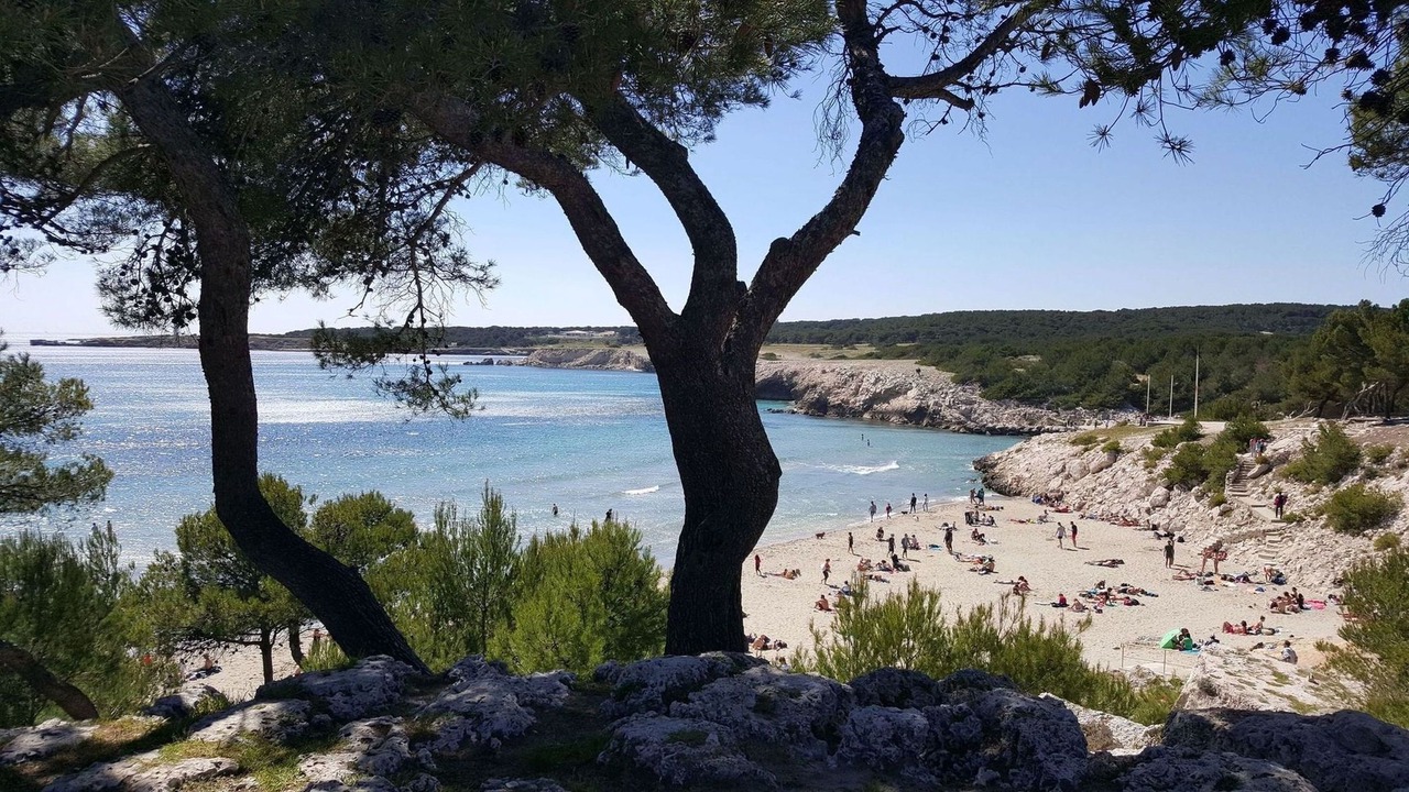 Photo of Others in Chateauneuf-les-Martigues