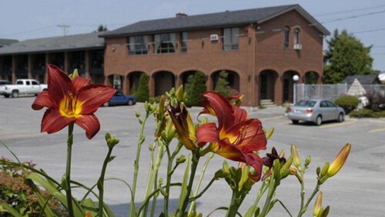 Photo of Outdoor in Downtown Gatineau