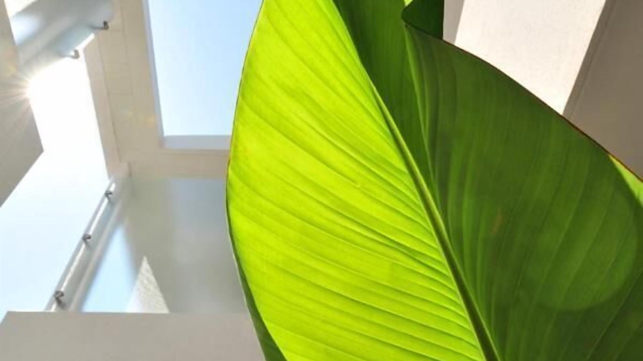 Photo of Others in Bizanos