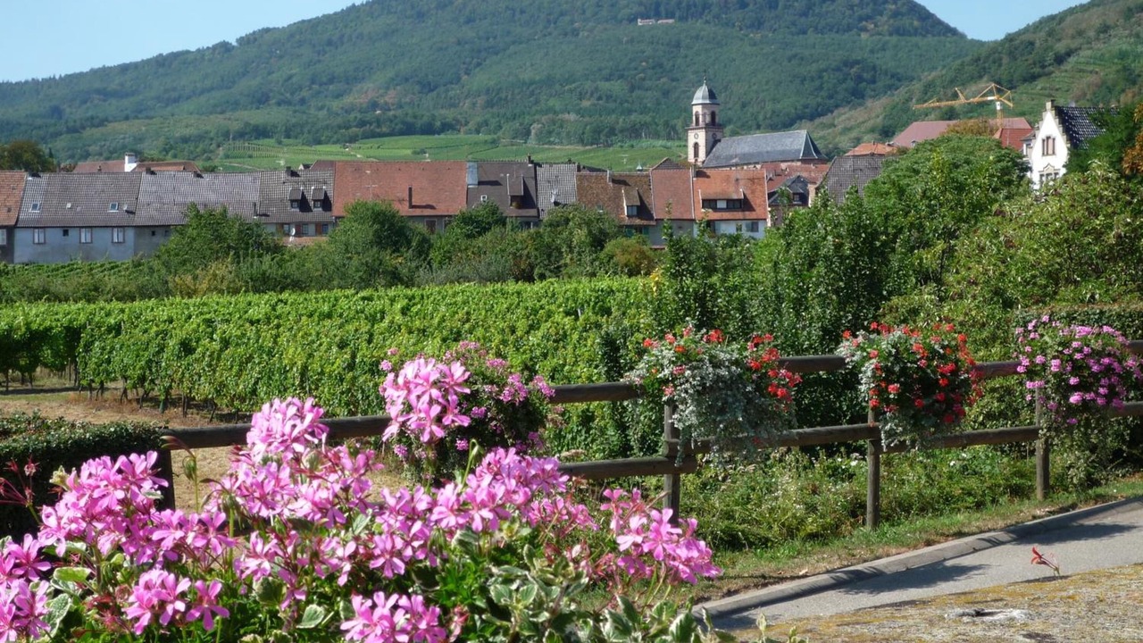 Photo of Outdoor in Saint-Hippolyte