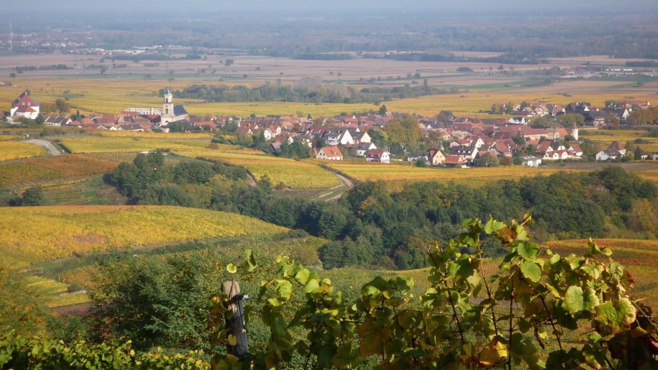 Photo of Outdoor in Saint-Hippolyte