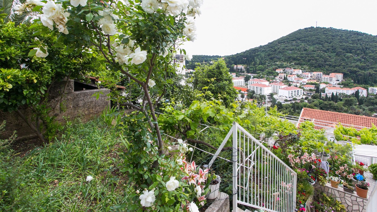 Photo of Outdoor in Babin Kuk