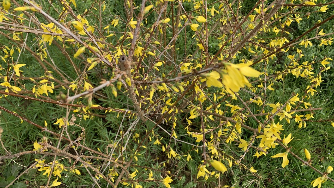 Photo of Outdoor in Saint-Albain
