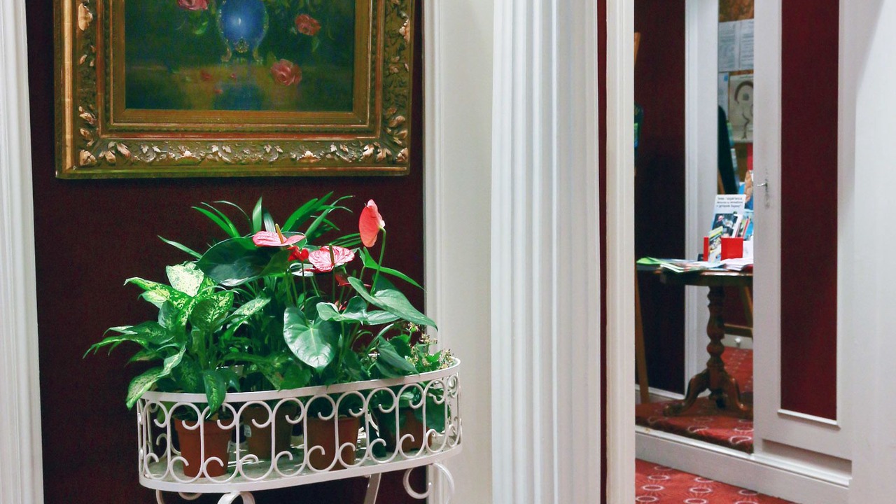 Photo of Others in Bagneres-de-Luchon