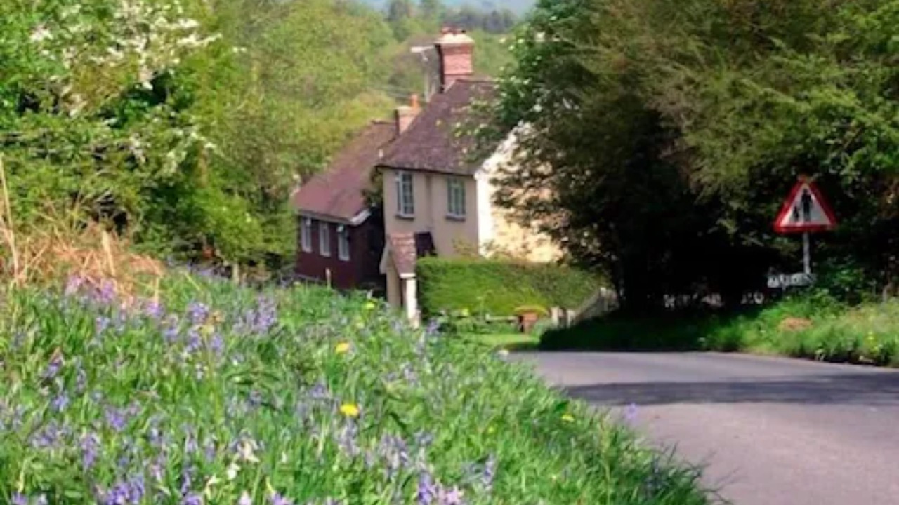 Photo of Outdoor in Forest Row