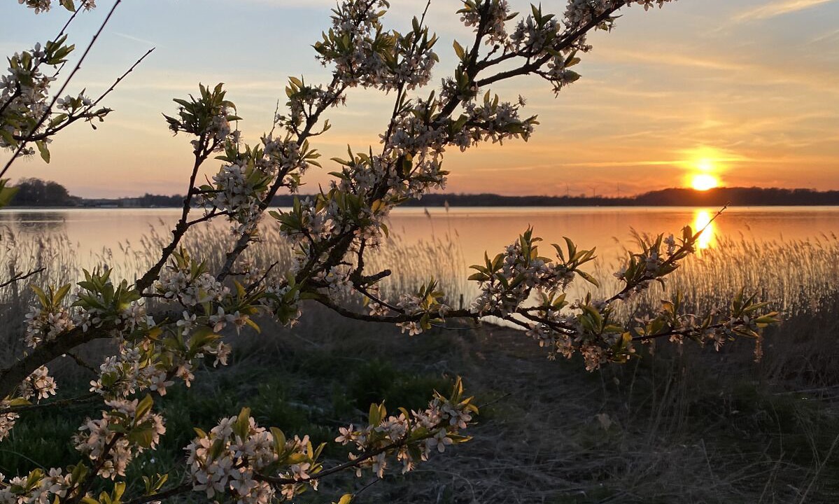 Photo of Outdoor in Praesto