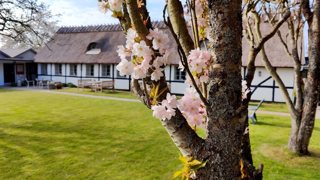 Photo of Outdoor in Praesto