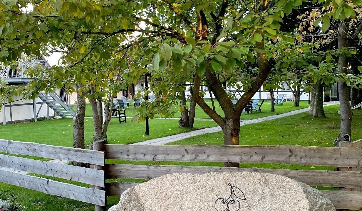 Photo of Outdoor in Praesto