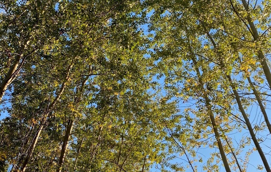 Photo of Outdoor in Praesto