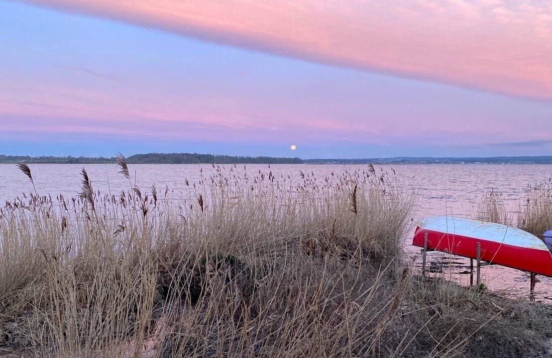 Photo of Outdoor in Praesto