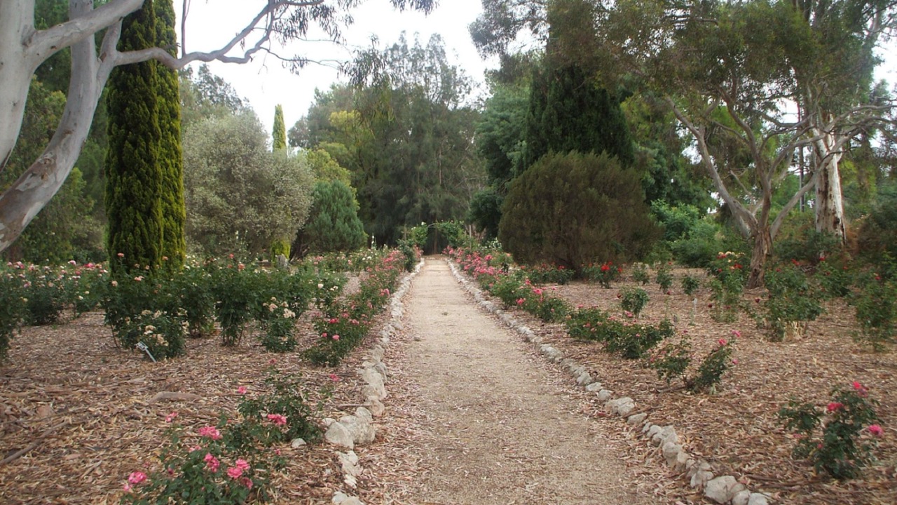 Photo of Outdoor in Lyndoch