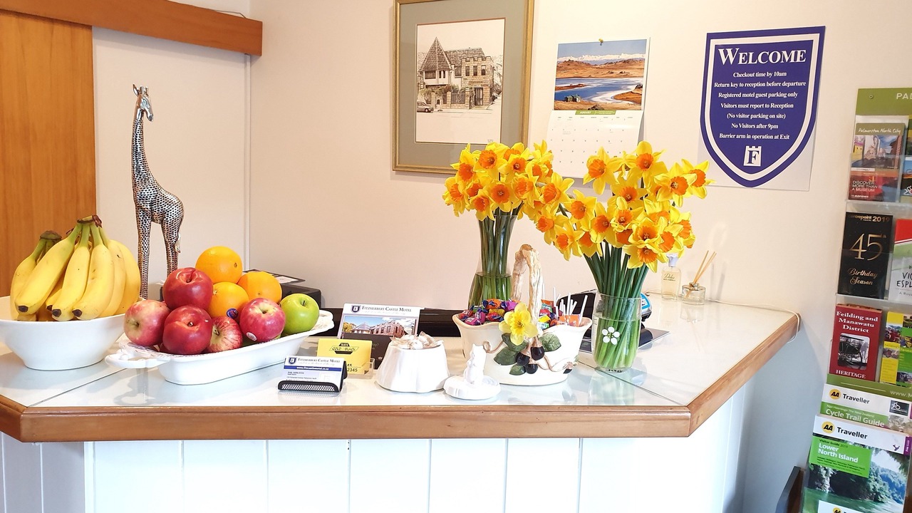 Photo of Others in Palmerston North