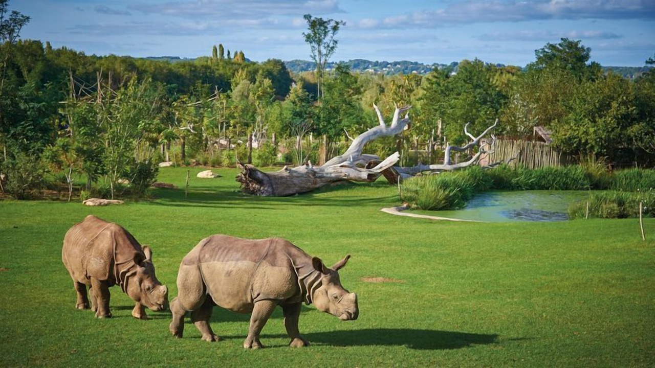 Photo of Others in La Fleche