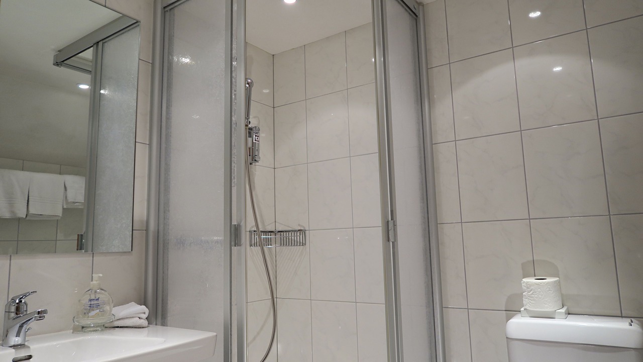Photo of Bathroom in Engadin Scoul