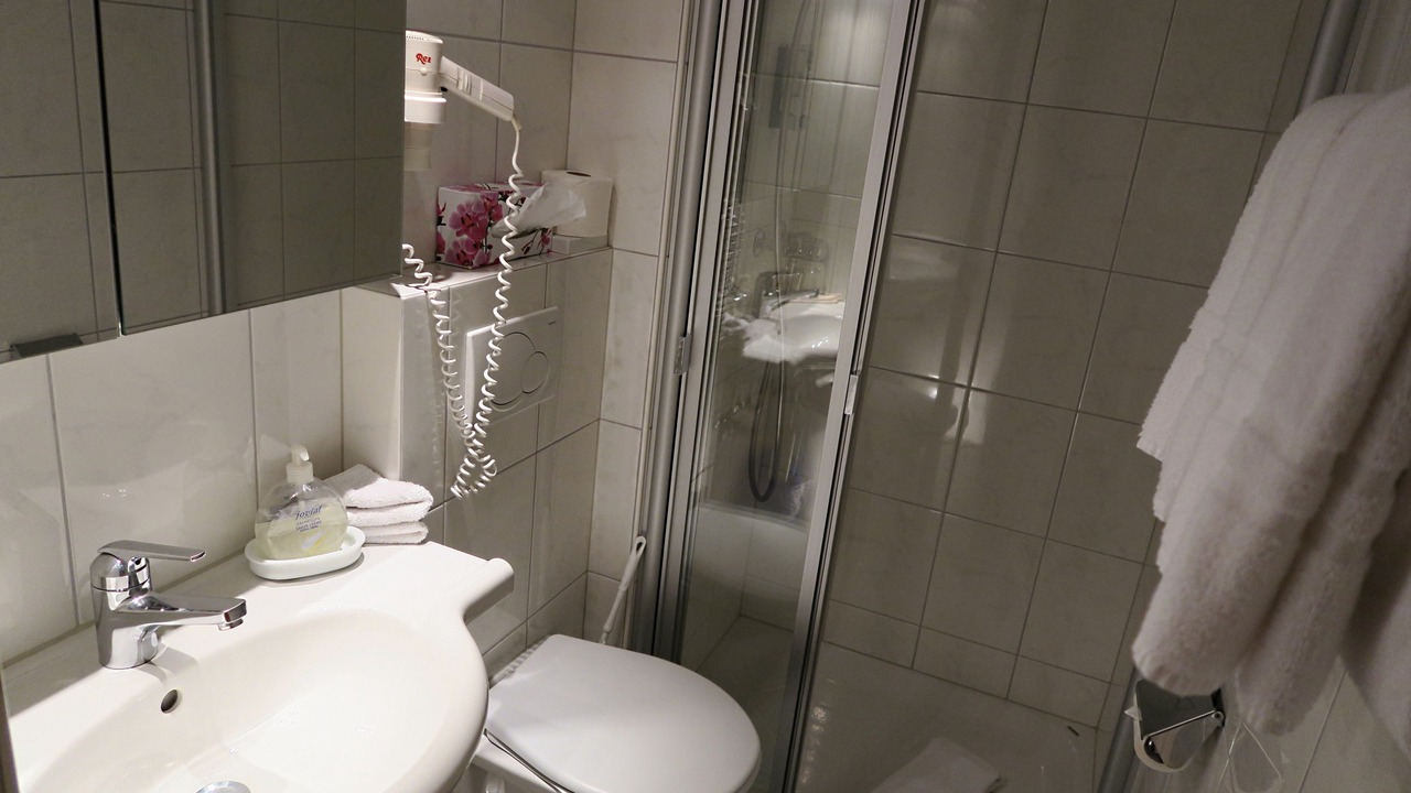 Photo of Bathroom in Engadin Scoul