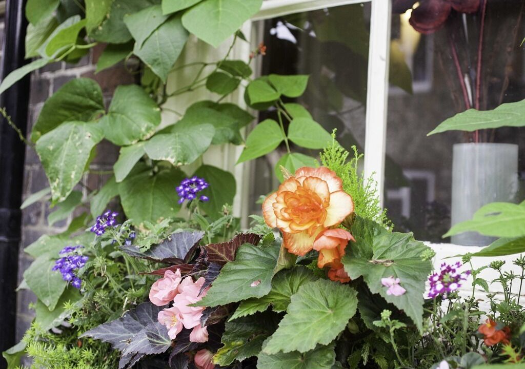 Photo of Outdoor in Bramber