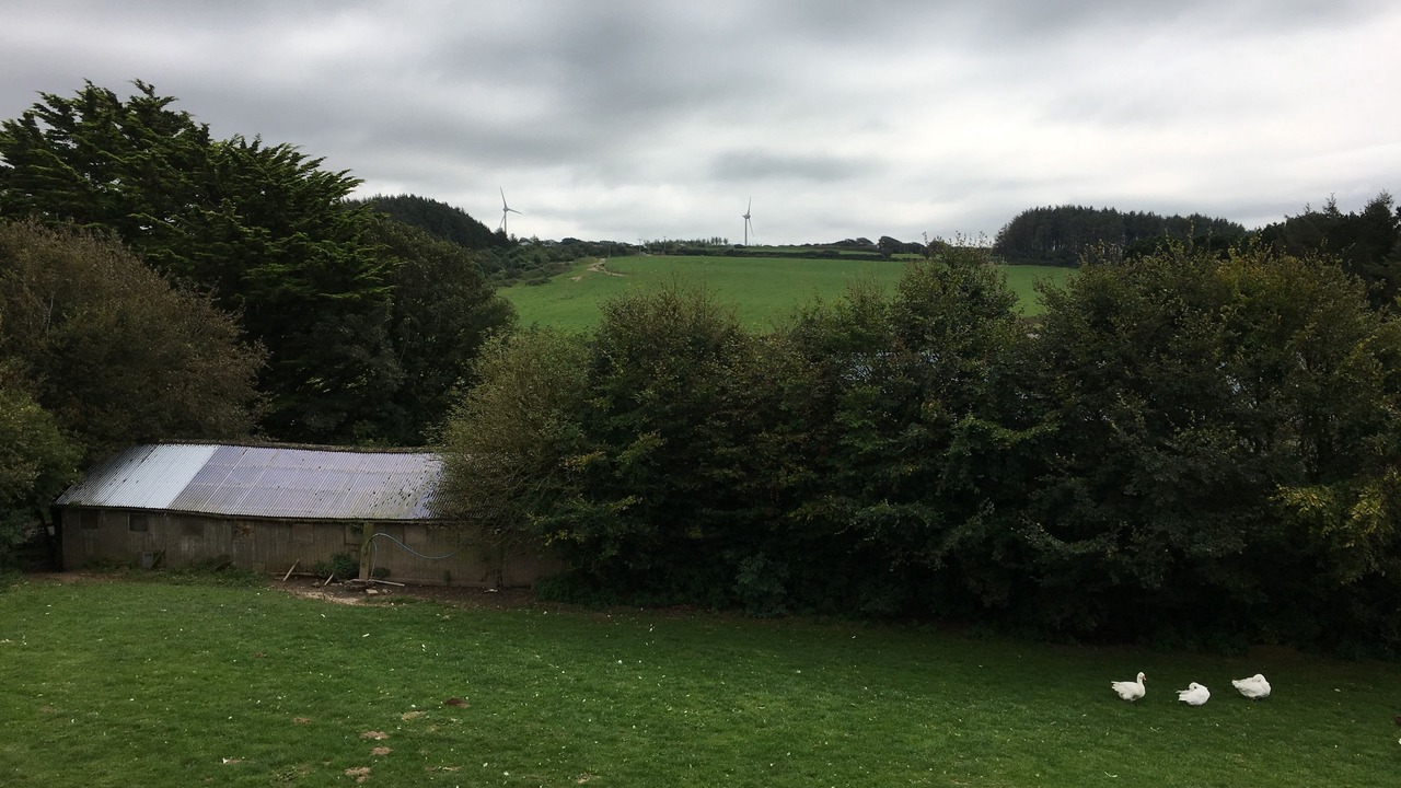 Photo of Others in Mullacott