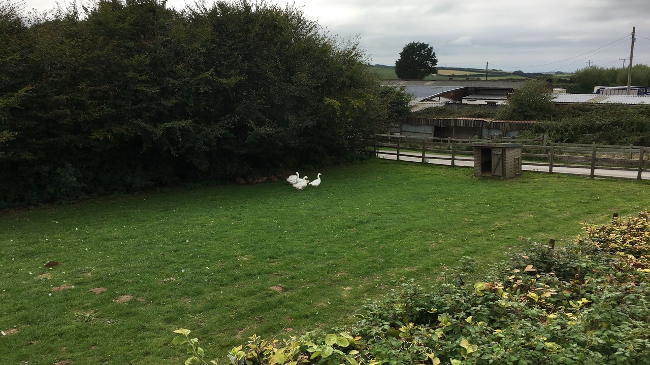 Photo of Outdoor in Mullacott