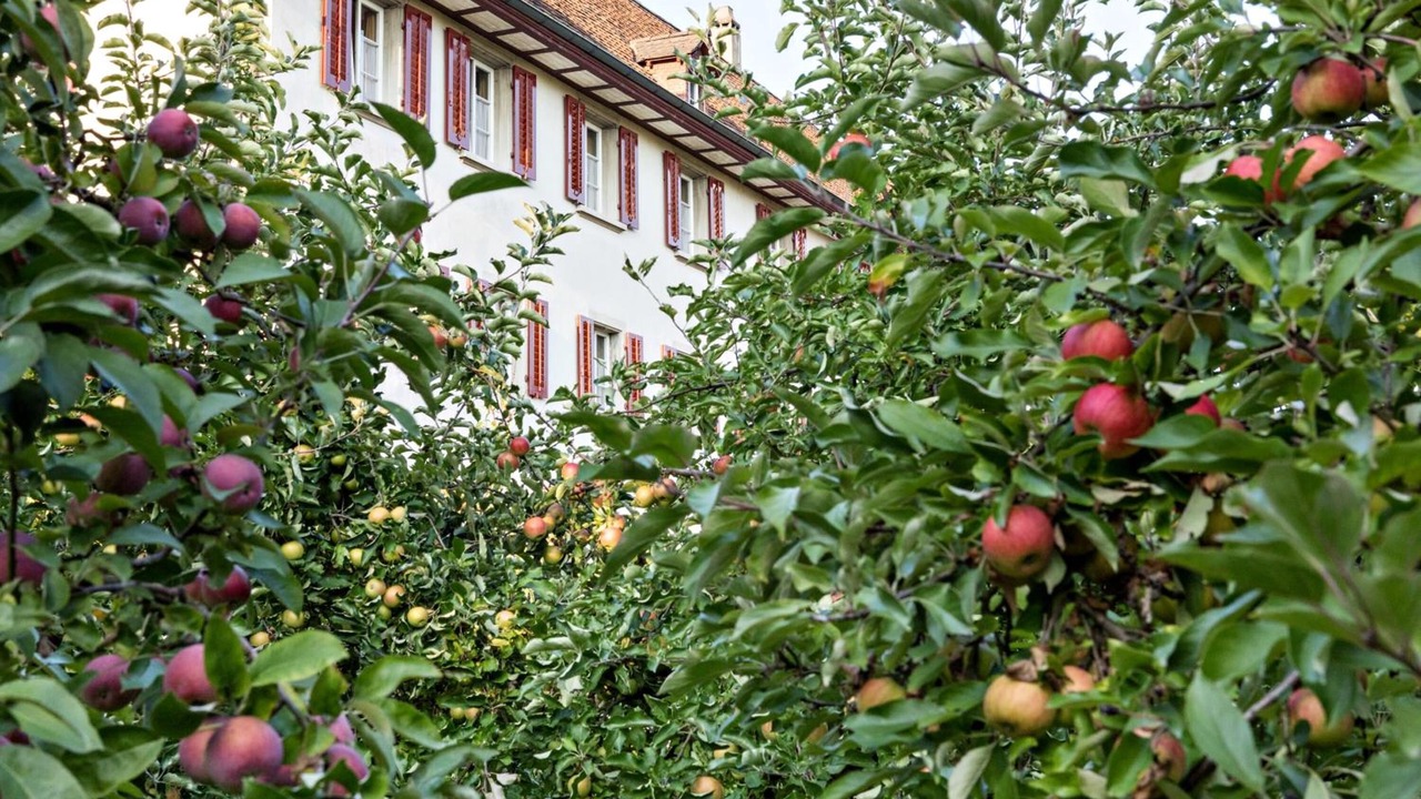 Photo of Outdoor in Dornach
