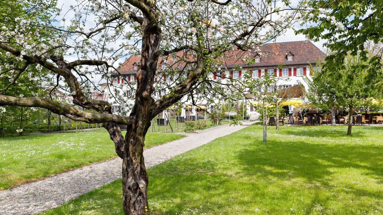 Photo of Outdoor in Dornach