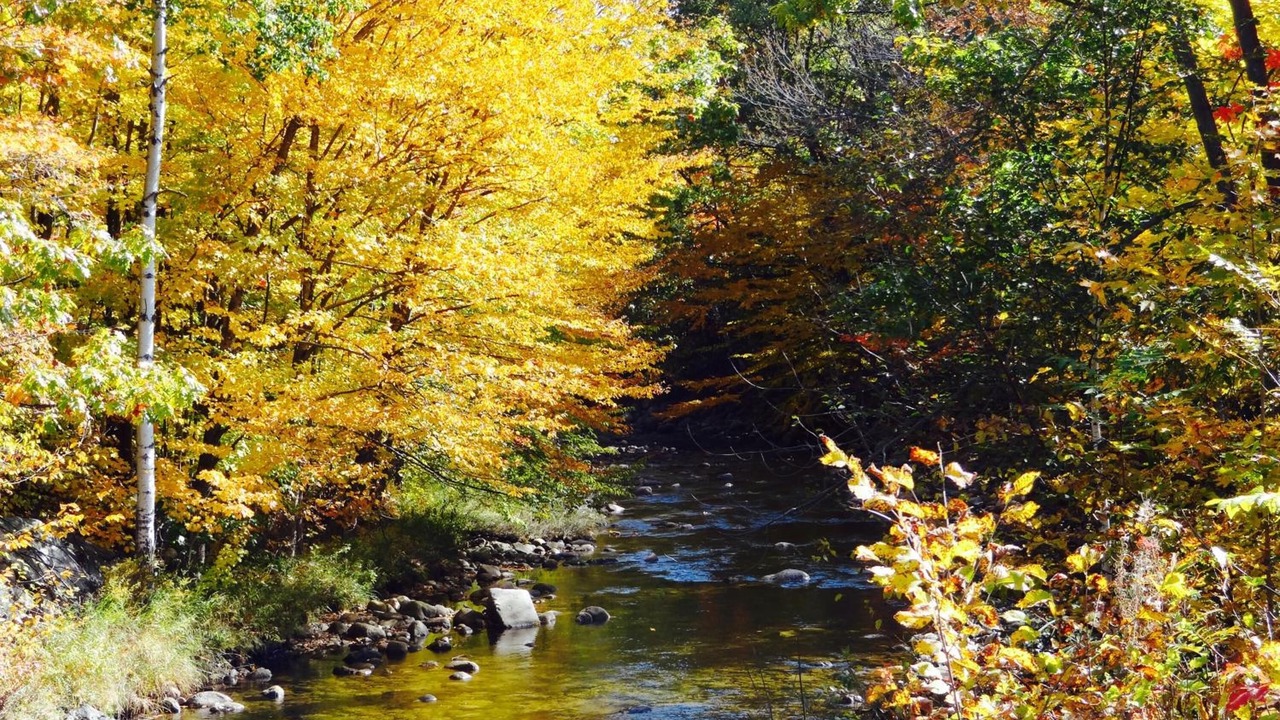 Photo of Outdoor in Upper Village