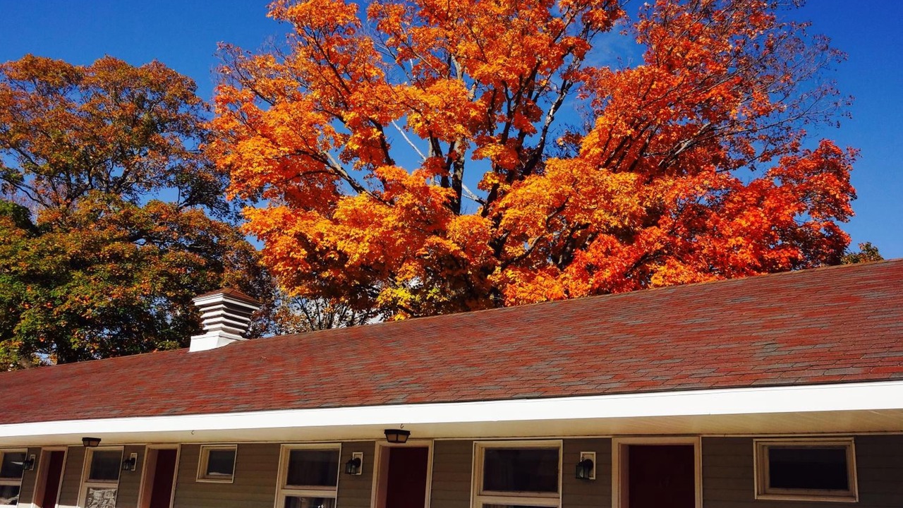 Photo of Outdoor in Upper Village