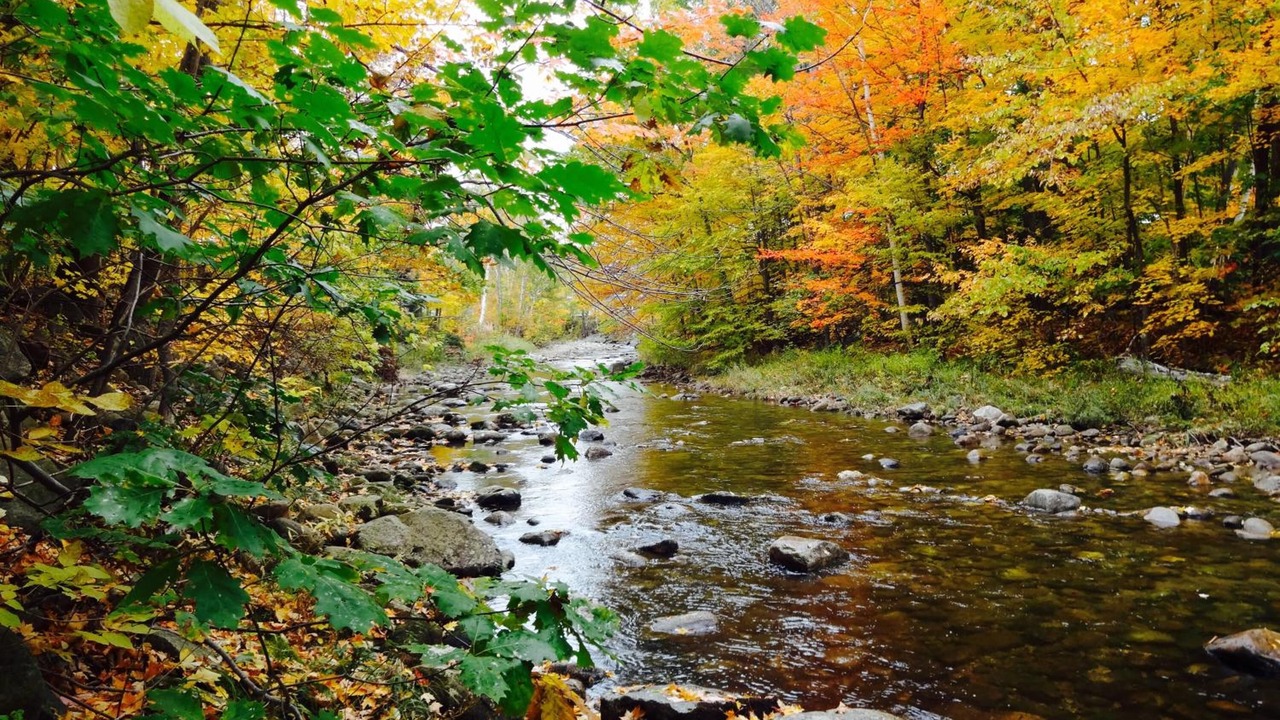 Photo of Outdoor in Upper Village