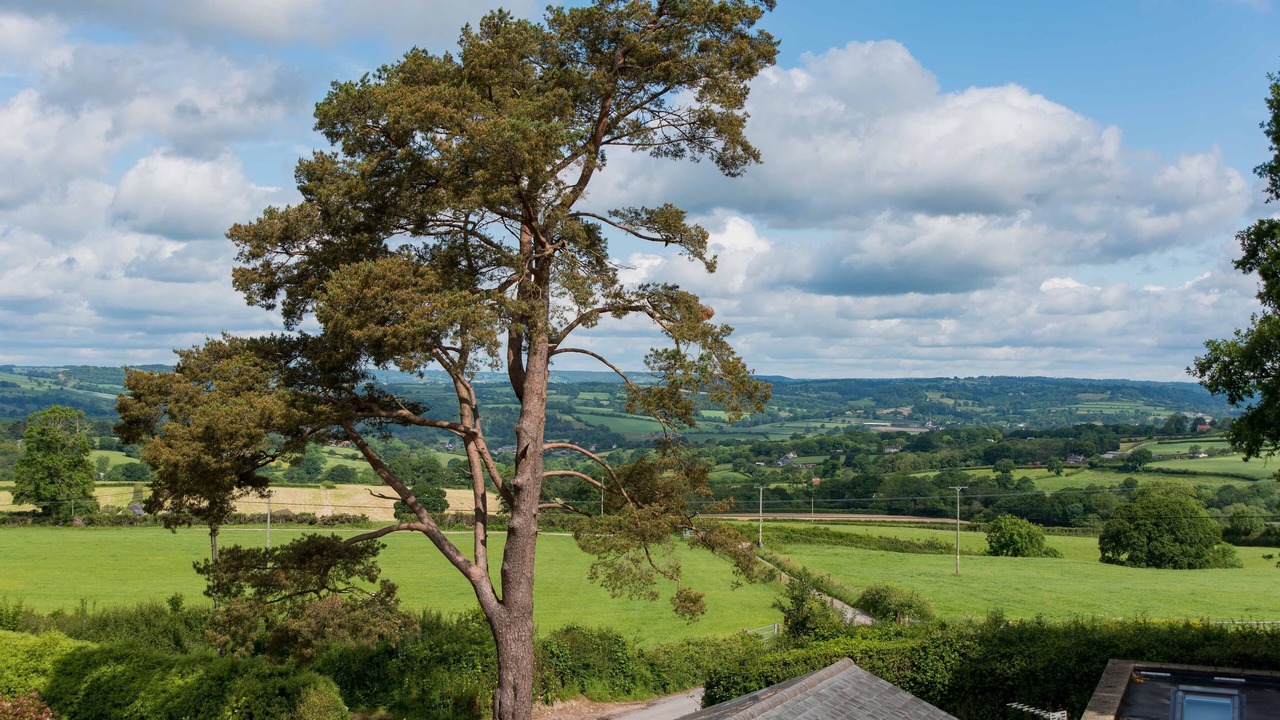 Photo of Bedroom in Raymonds Hill