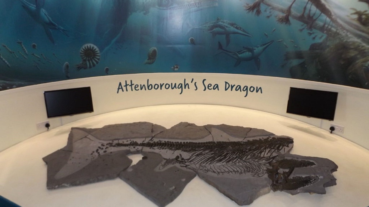 Photo of Others in Raymonds Hill