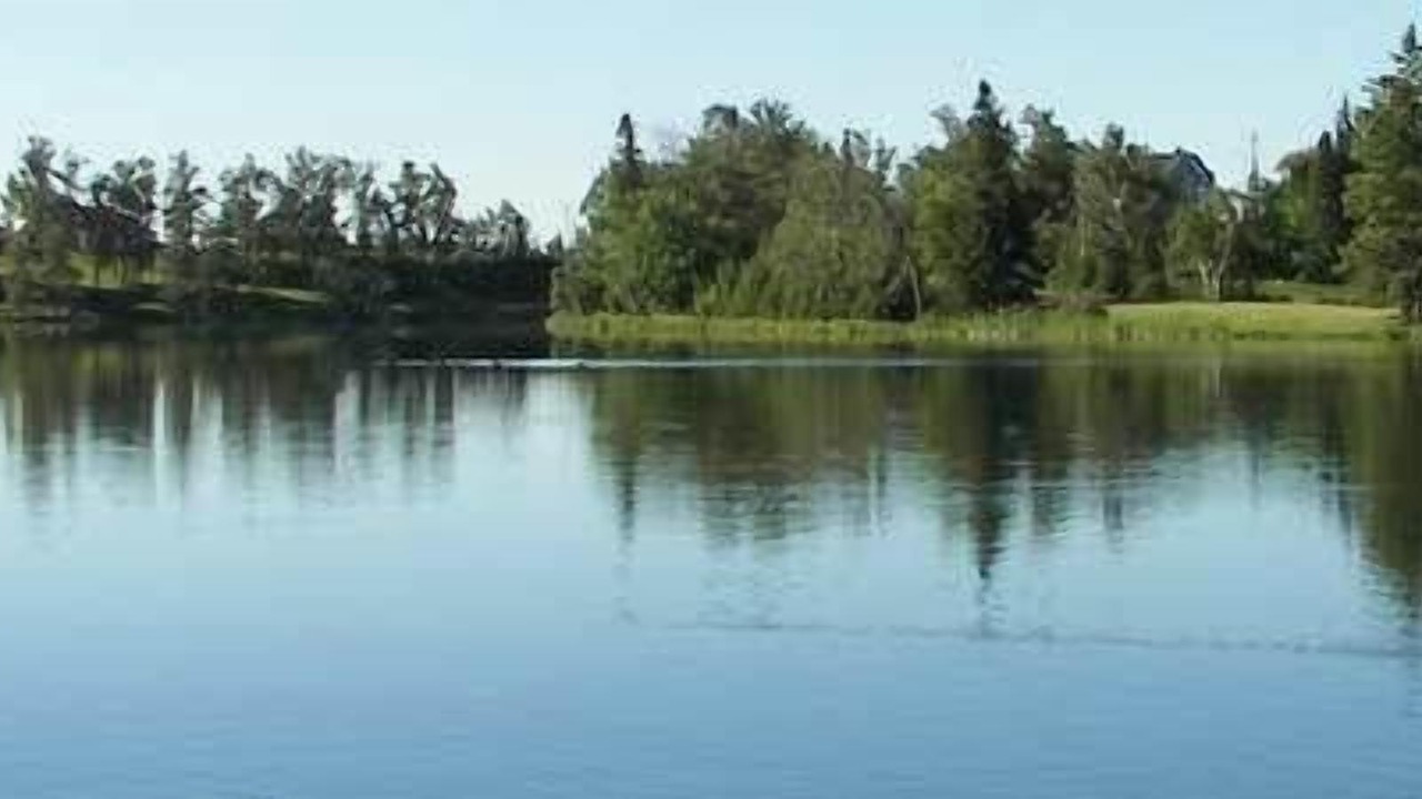 Photo of Outdoor in Cochrane