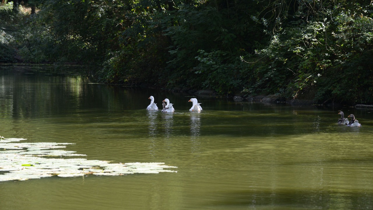 Photo of Outdoor in Chambretaud