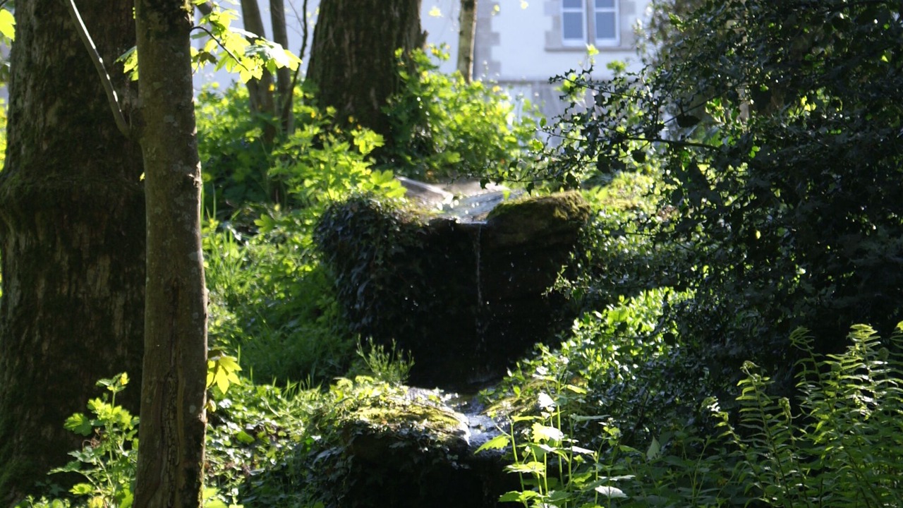 Photo of Outdoor in Chambretaud