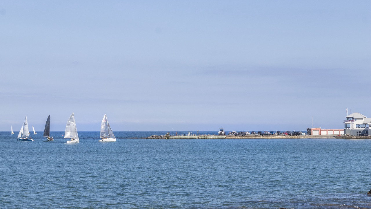 Photo of Others in Porirua