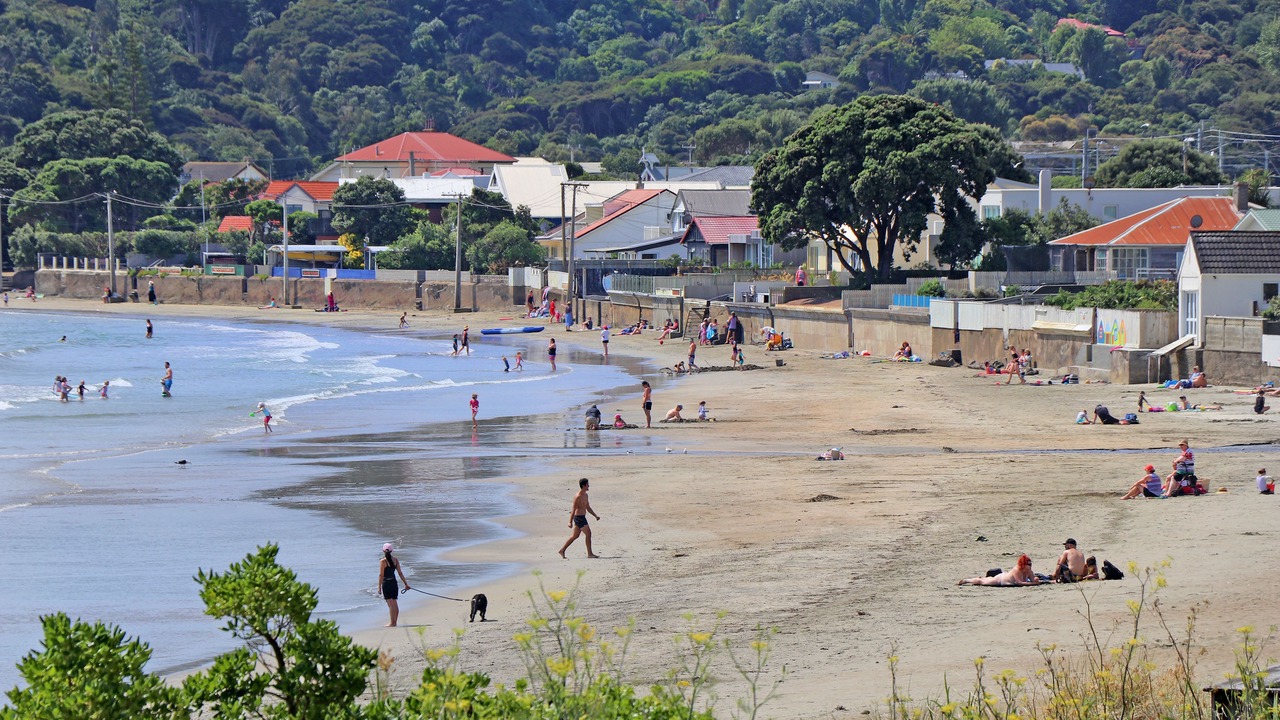 Photo of Others in Porirua