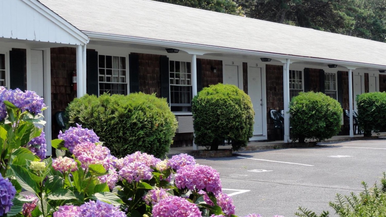 Photo of Outdoor in West Chatham