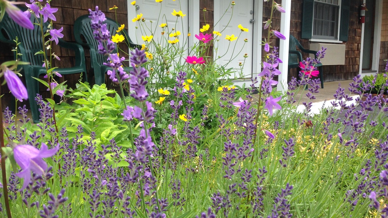 Photo of Outdoor in West Chatham