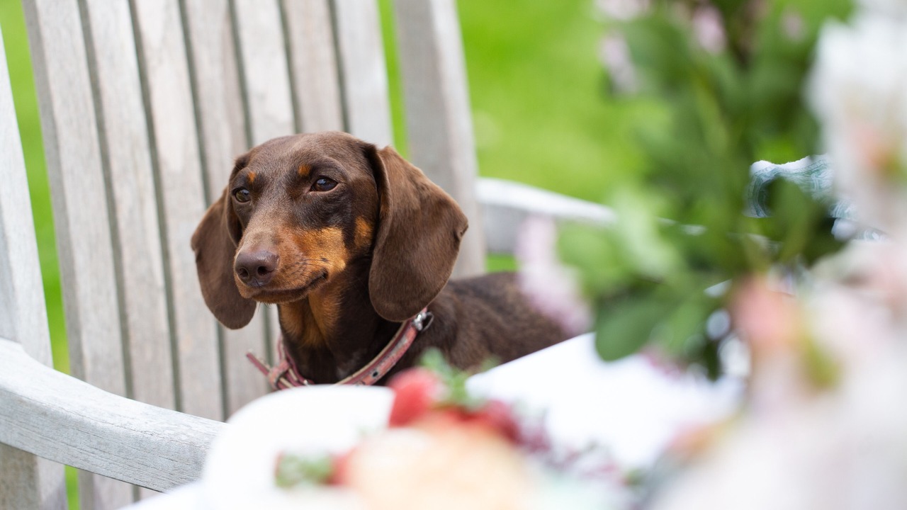 Photo of Others in Codsall