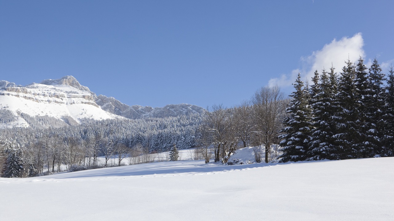 Photo of Others in Villard-de-Lans