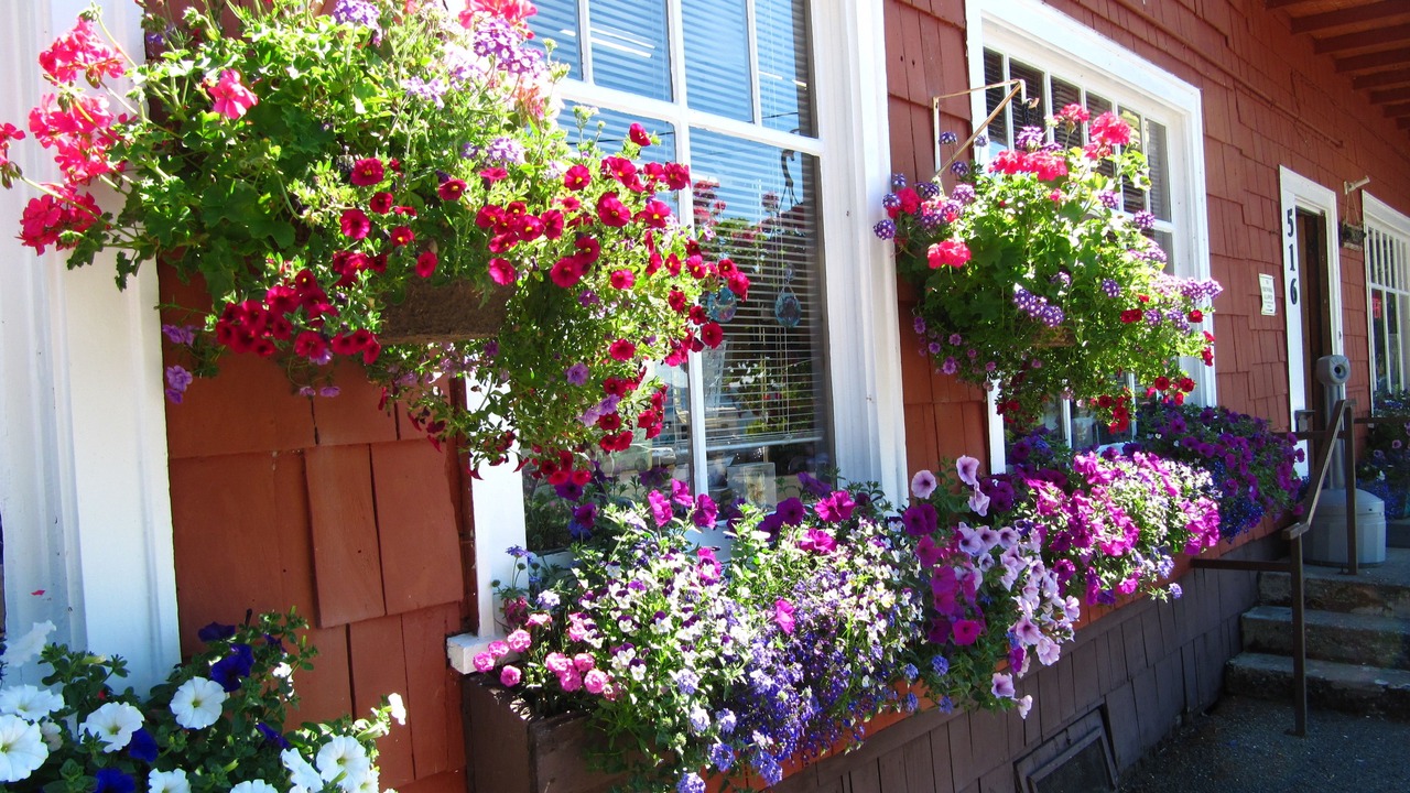 Photo of Outdoor in Quinault