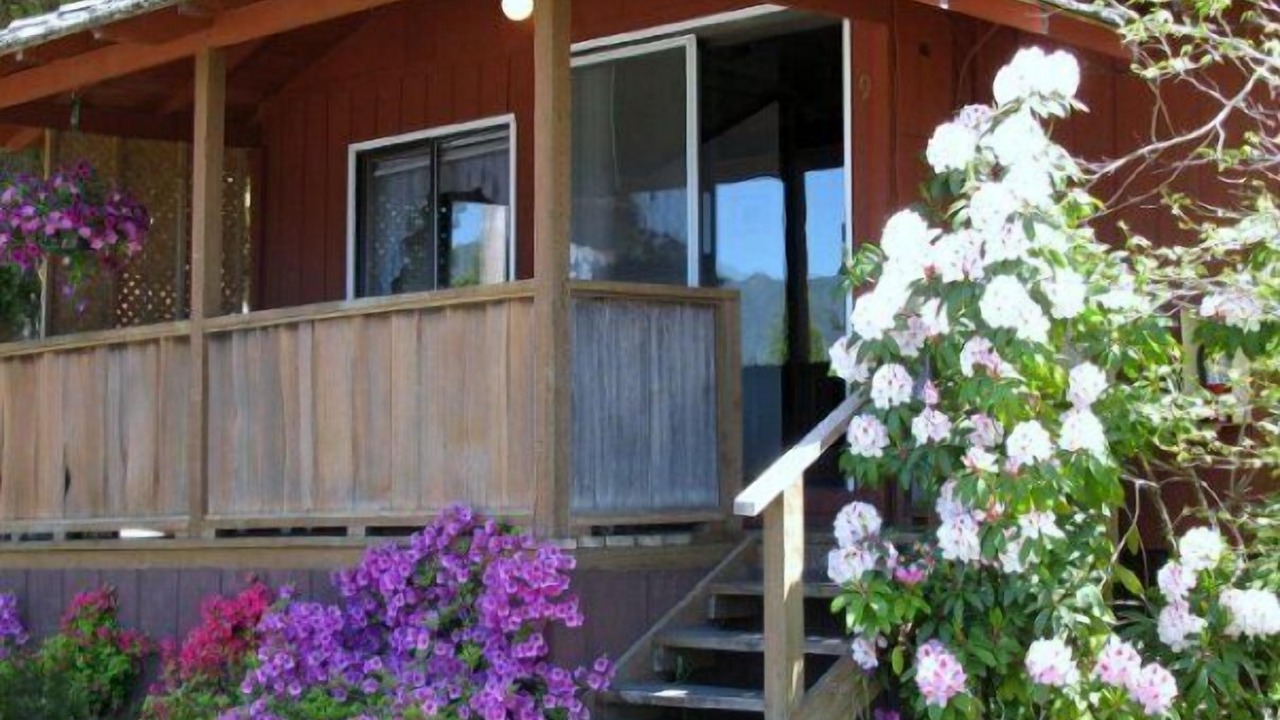 Photo of Outdoor in Quinault