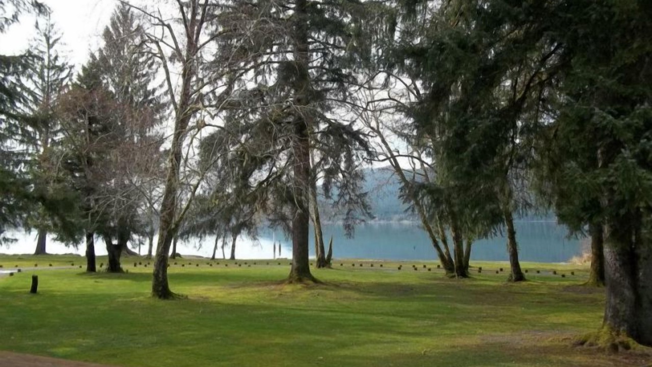 Photo of Outdoor in Quinault