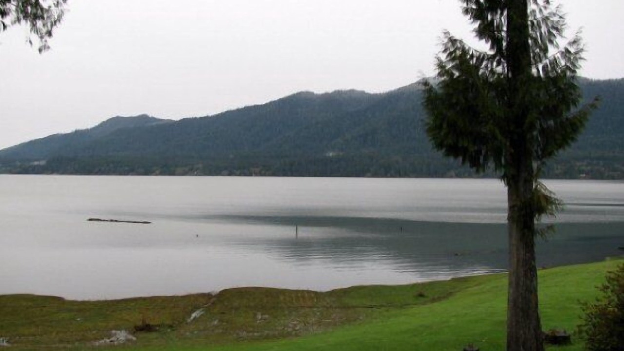 Photo of Outdoor in Quinault