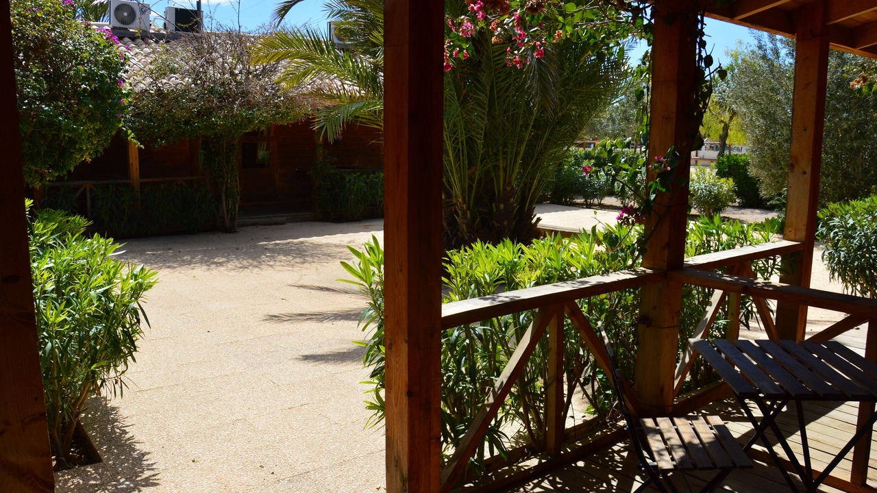Photo of Outdoor in Los Montesinos