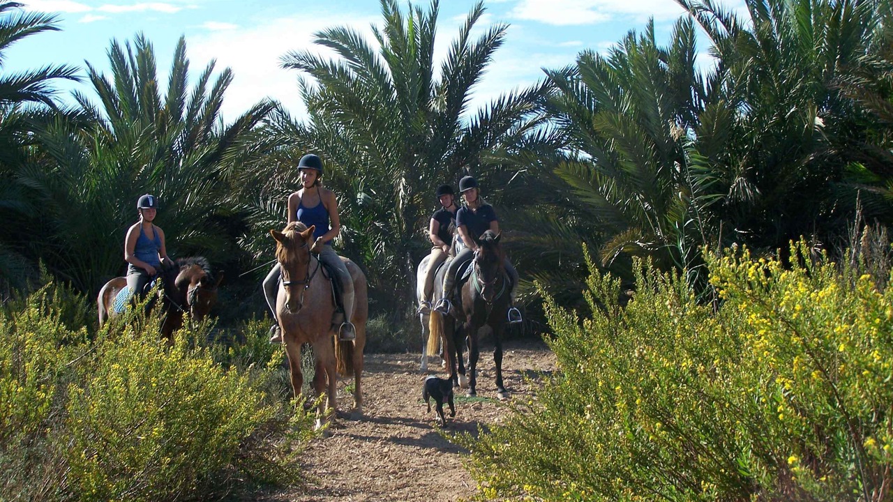 Photo of Others in Los Montesinos