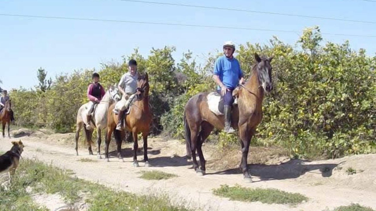 Photo of Others in Los Montesinos