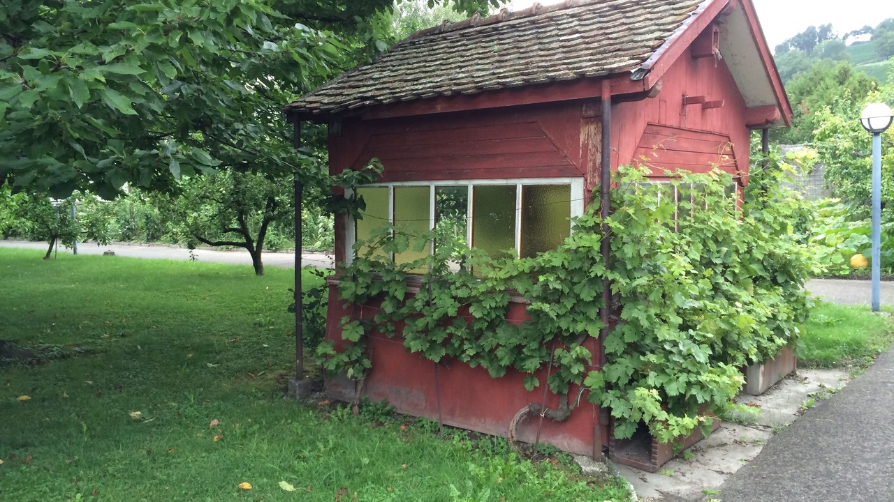 Photo of Outdoor in Saint-Maurice