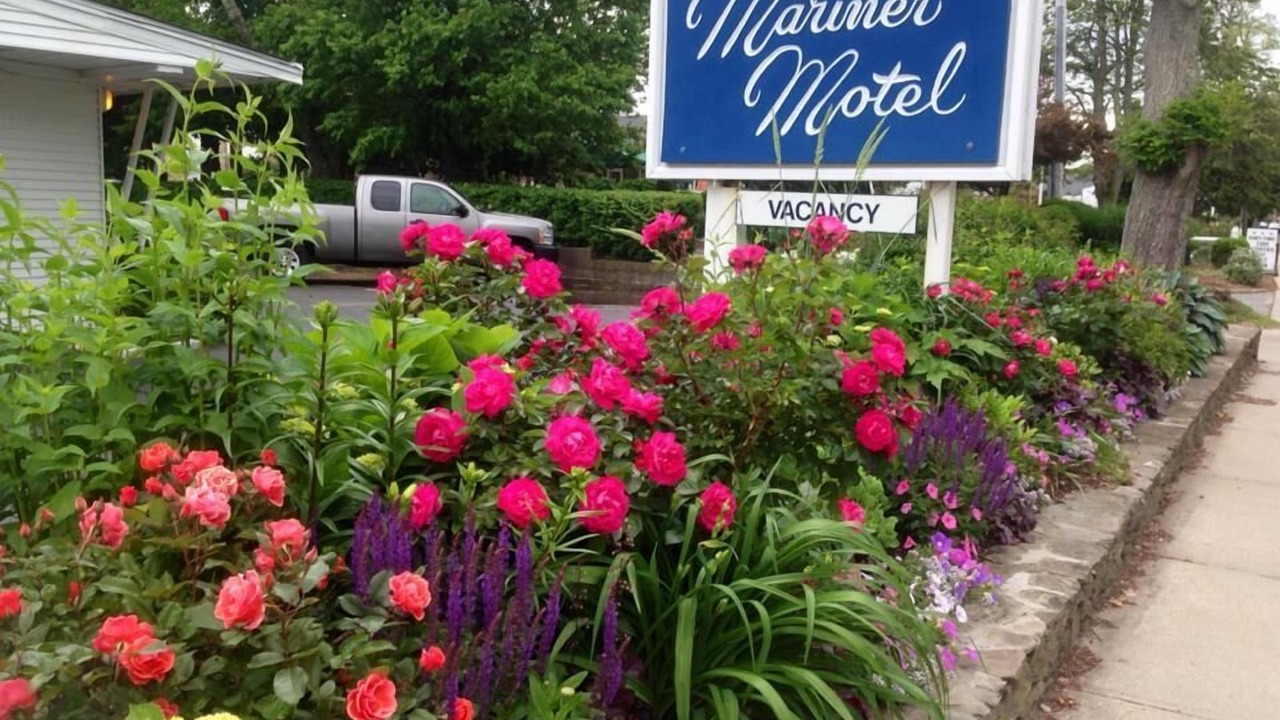 Photo of Outdoor in Falmouth