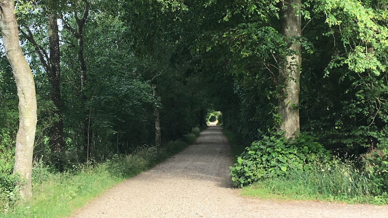 Photo of Others in Tistrup