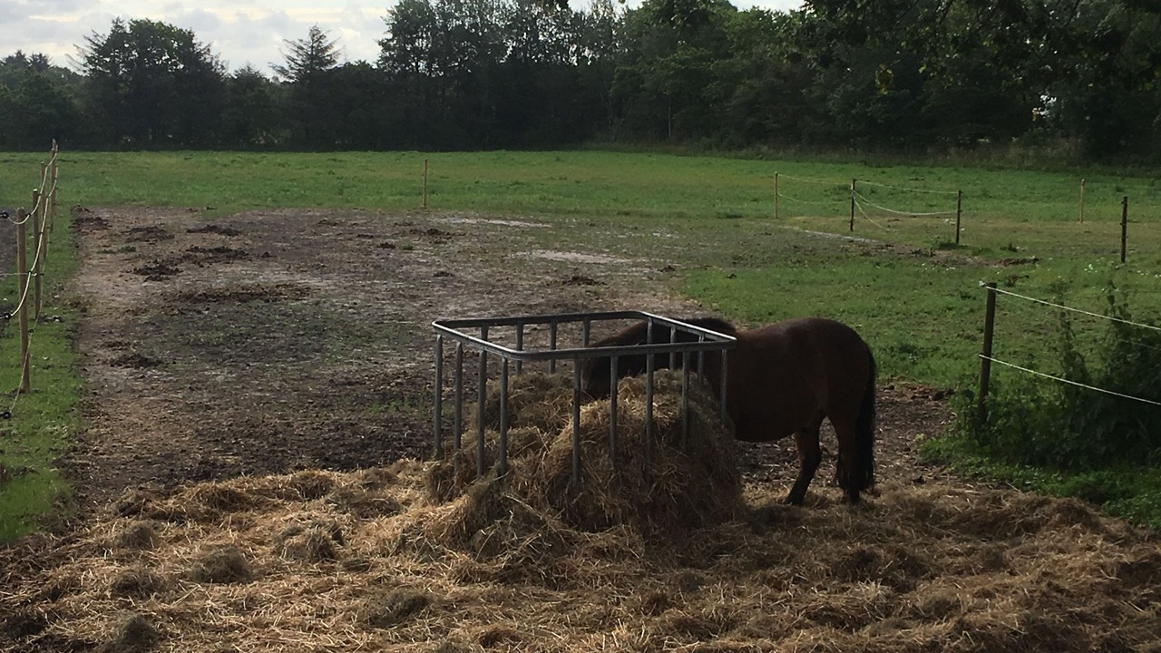 Photo of Others in Tistrup