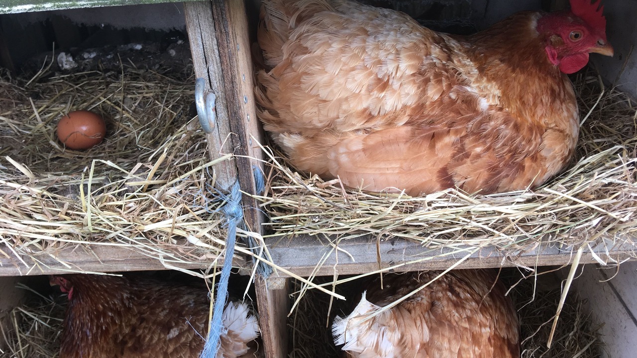 Photo of Others in Tistrup